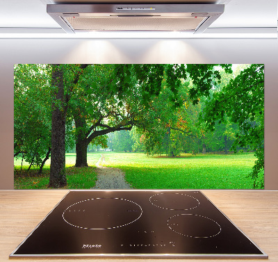 Achterwand keuken Park in de herfst