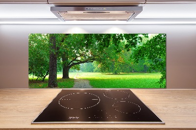 Achterwand keuken Park in de herfst