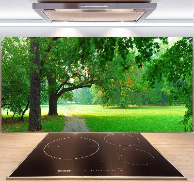 Achterwand keuken Park in de herfst