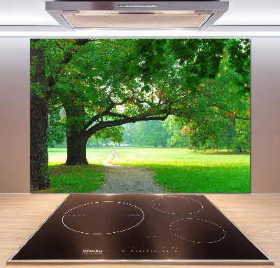 Achterwand keuken Park in de herfst