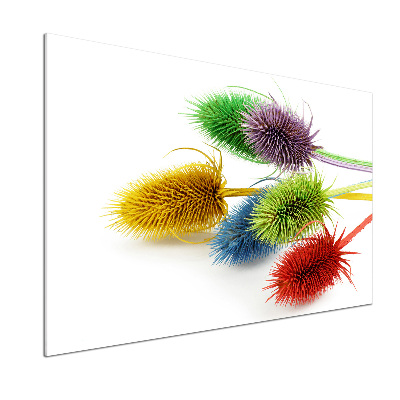 Spatplaat keuken Distel