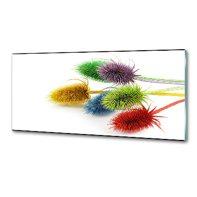 Spatplaat keuken Distel