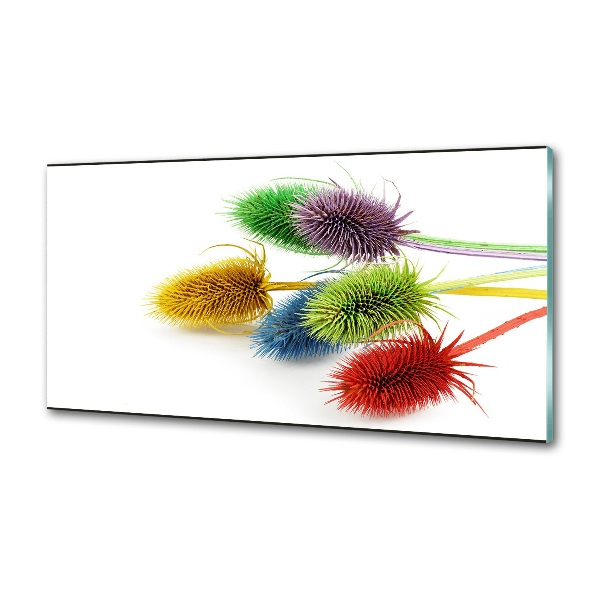 Spatplaat keuken Distel