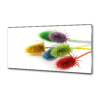 Spatplaat keuken Distel