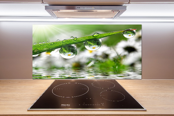 Keuken achterwand Druppels op het gras