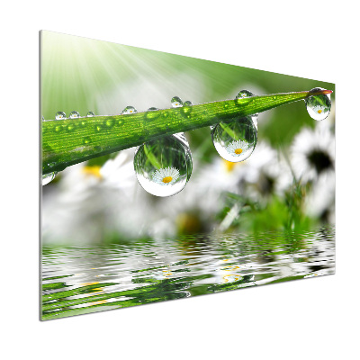 Keuken achterwand Druppels op het gras