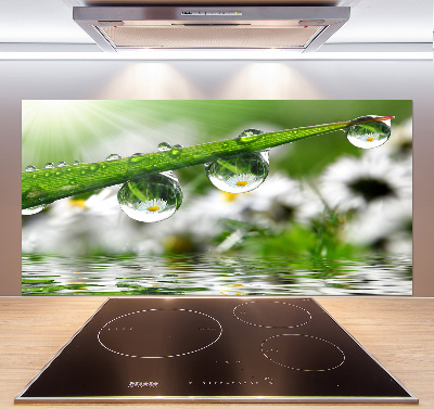 Keuken achterwand Druppels op het gras