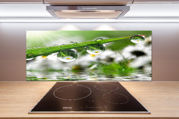 Keuken achterwand Druppels op het gras