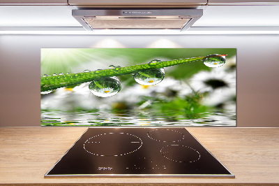 Keuken achterwand Druppels op het gras