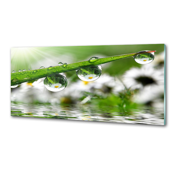 Keuken achterwand Druppels op het gras