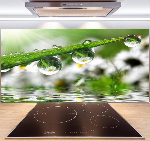 Keuken achterwand Druppels op het gras