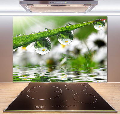 Keuken achterwand Druppels op het gras