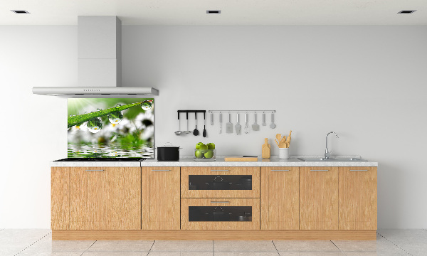 Keuken achterwand Druppels op het gras