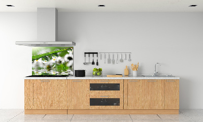 Keuken achterwand Druppels op het gras