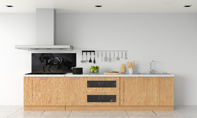 Glazen achterwand keuken Outsider