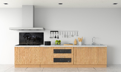 Glazen achterwand keuken Outsider