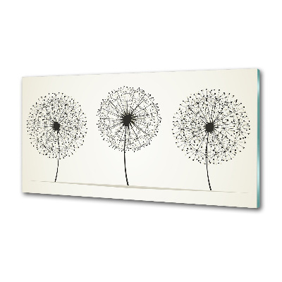 Glazen achterwand keuken Paardenbloemen