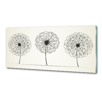 Glazen achterwand keuken Paardenbloemen