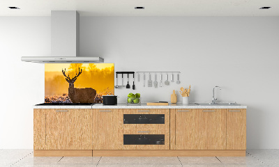 Spatscherm keuken Herten zonsopgang