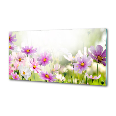 Spatplaat keuken Bloemen in de weide