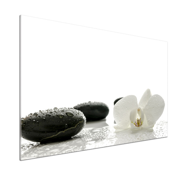 Keuken achterwand Orchidee