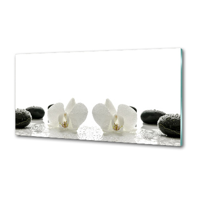 Keuken achterwand Orchidee