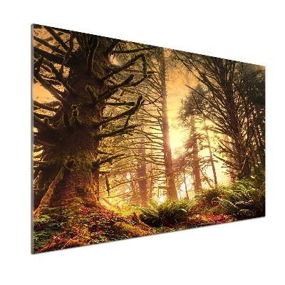 Keuken achterwand regenwoud