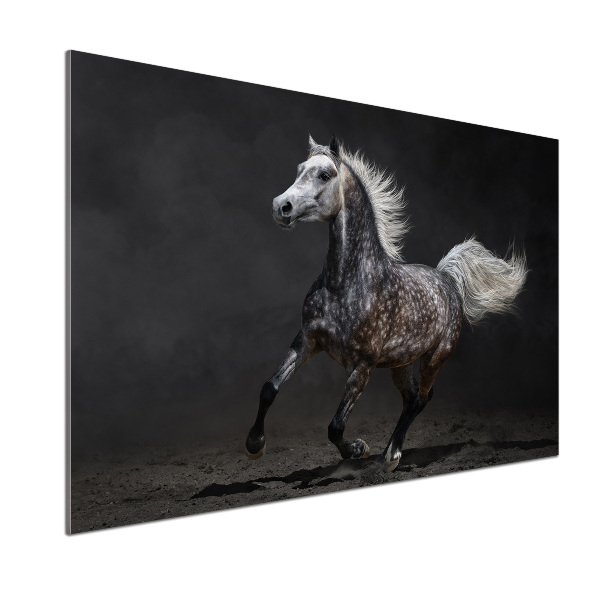 Achterwand keuken Grijze Arabische paard