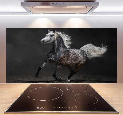 Achterwand keuken Grijze Arabische paard