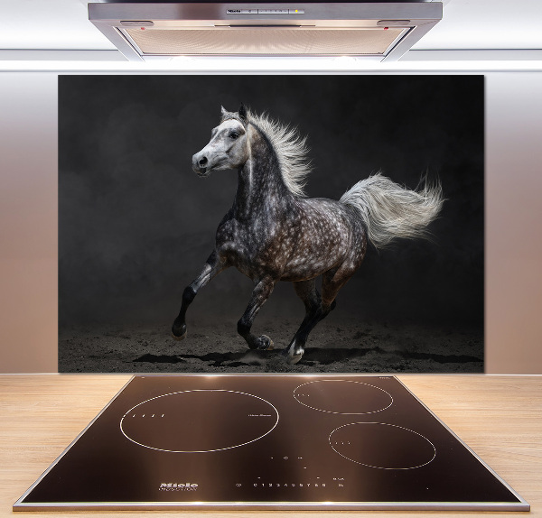 Achterwand keuken Grijze Arabische paard