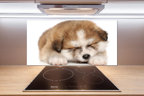 Spatscherm keuken Akita-puppy