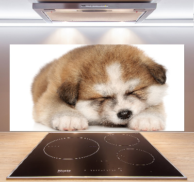 Spatscherm keuken Akita-puppy