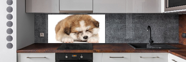 Spatscherm keuken Akita-puppy