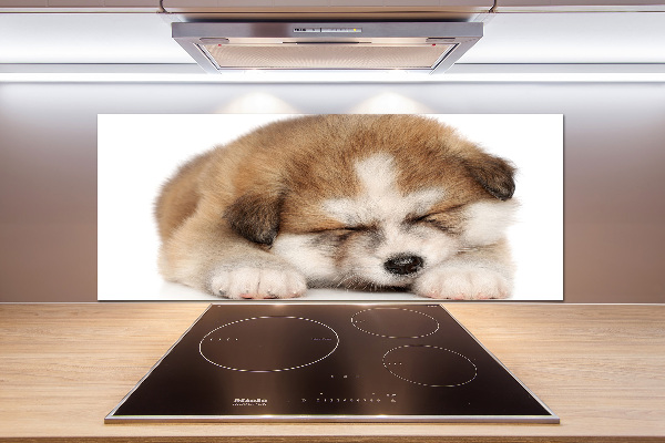 Spatscherm keuken Akita-puppy