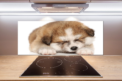 Spatscherm keuken Akita-puppy