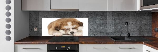 Spatscherm keuken Akita-puppy