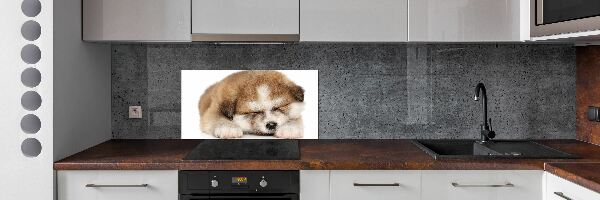 Spatscherm keuken Akita-puppy