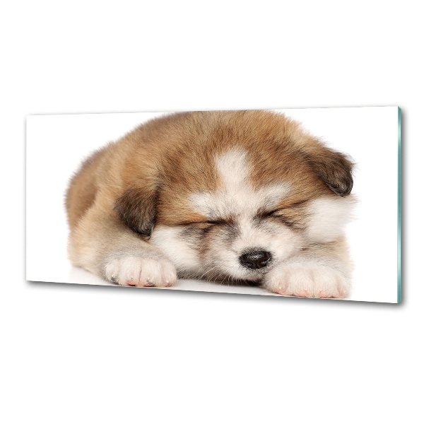 Spatscherm keuken Akita-puppy