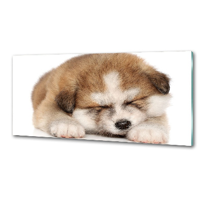 Spatscherm keuken Akita-puppy