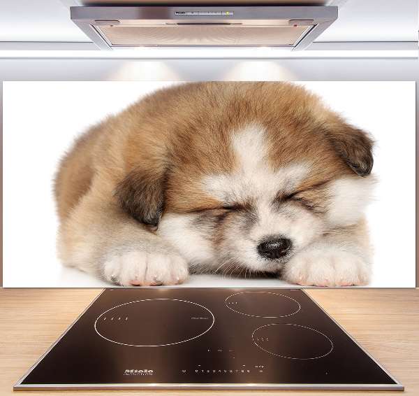 Spatscherm keuken Akita-puppy