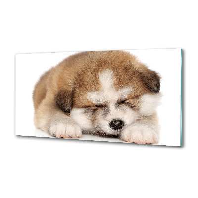 Spatscherm keuken Akita-puppy