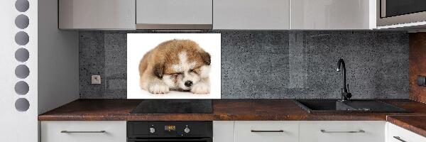 Spatscherm keuken Akita-puppy