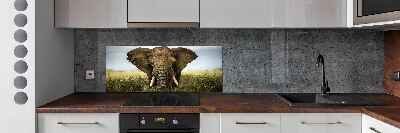 Spatplaat keuken Olifant op de savanne