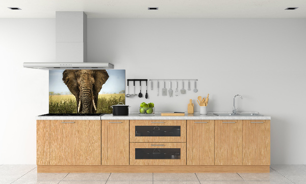 Spatplaat keuken Olifant op de savanne