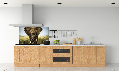 Spatplaat keuken Olifant op de savanne