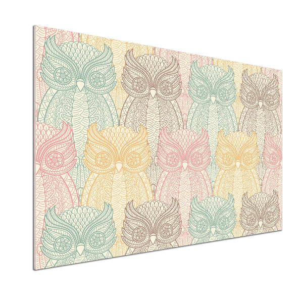 Glazen achterwand keuken Uilen