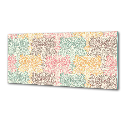 Glazen achterwand keuken Uilen