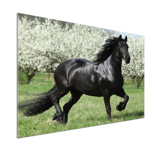 Keuken achterwand Zwarte paardenbloemen