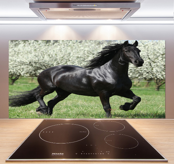 Keuken achterwand Zwarte paardenbloemen