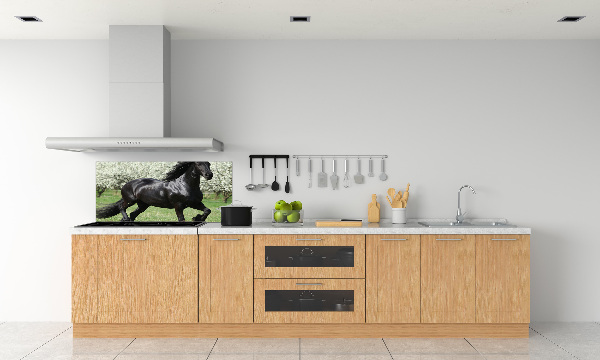 Keuken achterwand Zwarte paardenbloemen